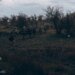Ворог здійснив понад 50 атак на фронті, найактивніше діє на Гуляйпільському та Покровському напрямках – Генштаб