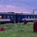 “Шахеди” і червоні ковдри: на Дніпропетровщині евакуювали пасажирів потяга