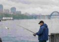 Прогноз погоди у Дніпрі на 17 травня: дощі та похмуре небо