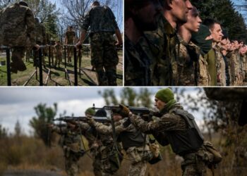 Кого ТЦК присылают в боевые части: военные рассказали об “армии непригодных”