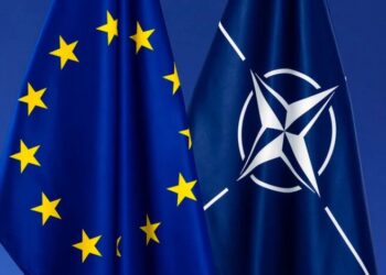 Глобальная фикция безопасности: Зеленин о политической импотенции НАТО и ЕС