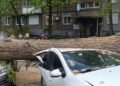 Дніпро досі в завалених деревах: як ліквідують наслідки буревію