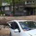 Дніпро досі в завалених деревах: як ліквідують наслідки буревію