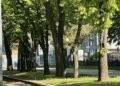 Частину обмежень скасовано: як працює громадський транспорт у Дніпрі
