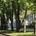 Частину обмежень скасовано: як працює громадський транспорт у Дніпрі