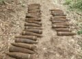 В Берлине в лесу нашли 59 неразорвавшихся советских снарядов времен Второй мировой