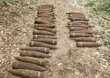 В Берлине в лесу нашли 59 неразорвавшихся советских снарядов времен Второй мировой