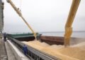 Украина усиливает борьбу с воровством зерна: уже есть первые результаты