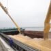 Украина усиливает борьбу с воровством зерна: уже есть первые результаты