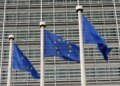 ЄС розглядає виключення чоловіків призовного віку з тимчасового захисту для українців – ЗМІ