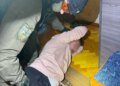 У Львові затримали чоловіка за напад з ножем на військового ТЦК