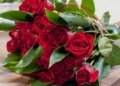 Що святкують 12 червня в Україні та світі