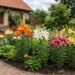 Лілії на клумбі: коли садити, чим підживлювати і як уберегти від шкідників