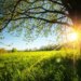 В Україні у неділю очікується до +38°, дощі прогнозують лише в окремих областях