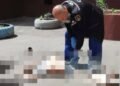 Стрибок чи нещасний випадок: у Дніпрі жінка впала з багатоповерхівки