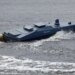 Морські дрони України перетворилися на універсальні бойові платформи – Зеленський