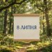 Що святкують 8 липня в Україні та світі