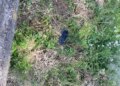 На залізничній станції під Києвом виявили тіло 14-річного хлопця
