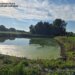 Під Києвом 13-річна дівчинка потонула у штучній водоймі, намагаючись дістати м'яч