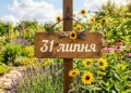Що святкують 31 липня в Україні та світі