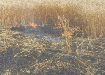 Палали будинки й поля: куди попадали російські дрони на Дніпропетровщині