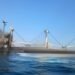 РФ атаковала крылатыми ракетами гражданское судно с зерном, 5 погибших