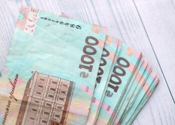 Субсидию на дрова и газ дадут не всем: в ПФУ назвали главное условие