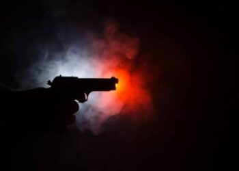 Діти під прицілом: у Дніпрі зафіксовано стрілянину по приватному будинку