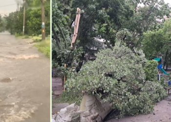Річка на дорозі та лихо на майданчику: у Дніпрі негода влаштувала випробовування
