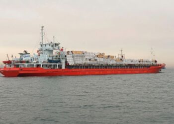 Индия вызвала посла Украины после атаки на судно с индийскими моряками