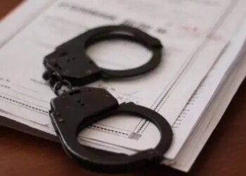 Неодноразово ґвалтував двох падчерок – на Запоріжжі суд залишив без змін вирок 37-річному чоловіку