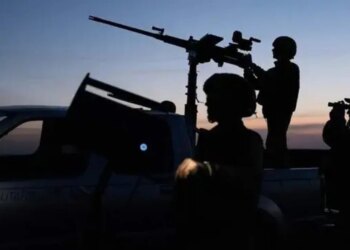 Прикордонники збили російський БПЛА ZALA Z-20 на рекордній висоті 6858 метрів