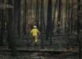 Українські вогнеборці отримали перші завдання і розпочали гасіння лісових пожеж у Франції