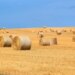 Невелика хмарність і спека до +30° – якою буде погода на День Незалежності України