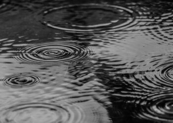 Приплив води до Дністровського водосховища досяг історичного мінімуму – Укргідрометцентр
