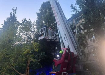 Рятував кошеня: на Дніпропетровщині надзвичайники зняли чоловіка з багатоповерхівки
