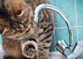 Вода зникла у трьох районах Дніпра: що сталося та коли чекати відновлення