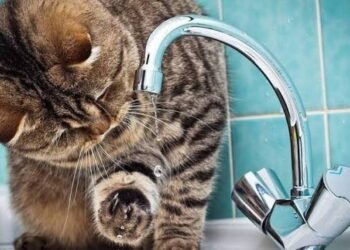 Вода зникла у трьох районах Дніпра: що сталося та коли чекати відновлення
