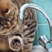 Вода зникла у трьох районах Дніпра: що сталося та коли чекати відновлення