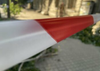 “Приберіть машини біля дерев”: у Дніпрі попередили про проведення робіт