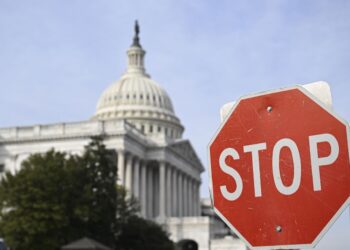 Достаточно ли просто притормозить перед знаком STOP: что требуют ПДД