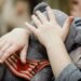 “Дитина війни”: що реально дає статус і як його оформити