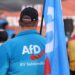 Ультраправа AfD лидирует на выборах в Германии: победа может стоить Мерцу должности