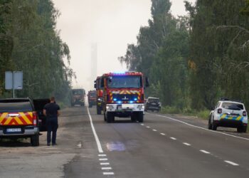 Правый берег Киева может накрыть дымом из-за пожаров в Киевской области