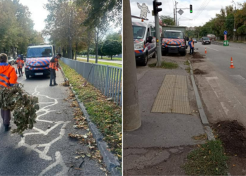 Повалені дерева та обірвані лінії: у Дніпрі досі ліквідують наслідки негоди