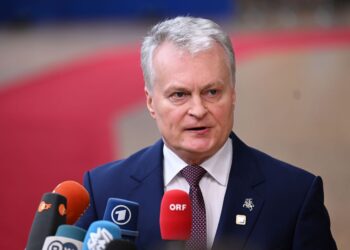 Дроны РФ залетают в Европу не случайно? Науседа назвал возможную цель