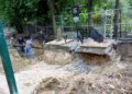У Львові ексгумували останки 113 польських солдатів та 17 військових Вермахту