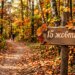 Що святкують 15 жовтня в Україні та світі