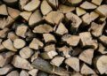 За збір дров у лісі українцям загрожує штраф до 1530 грн: що заборонено та як законно заготовити деревину