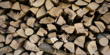 За збір дров у лісі українцям загрожує штраф до 1530 грн: що заборонено та як законно заготовити деревину